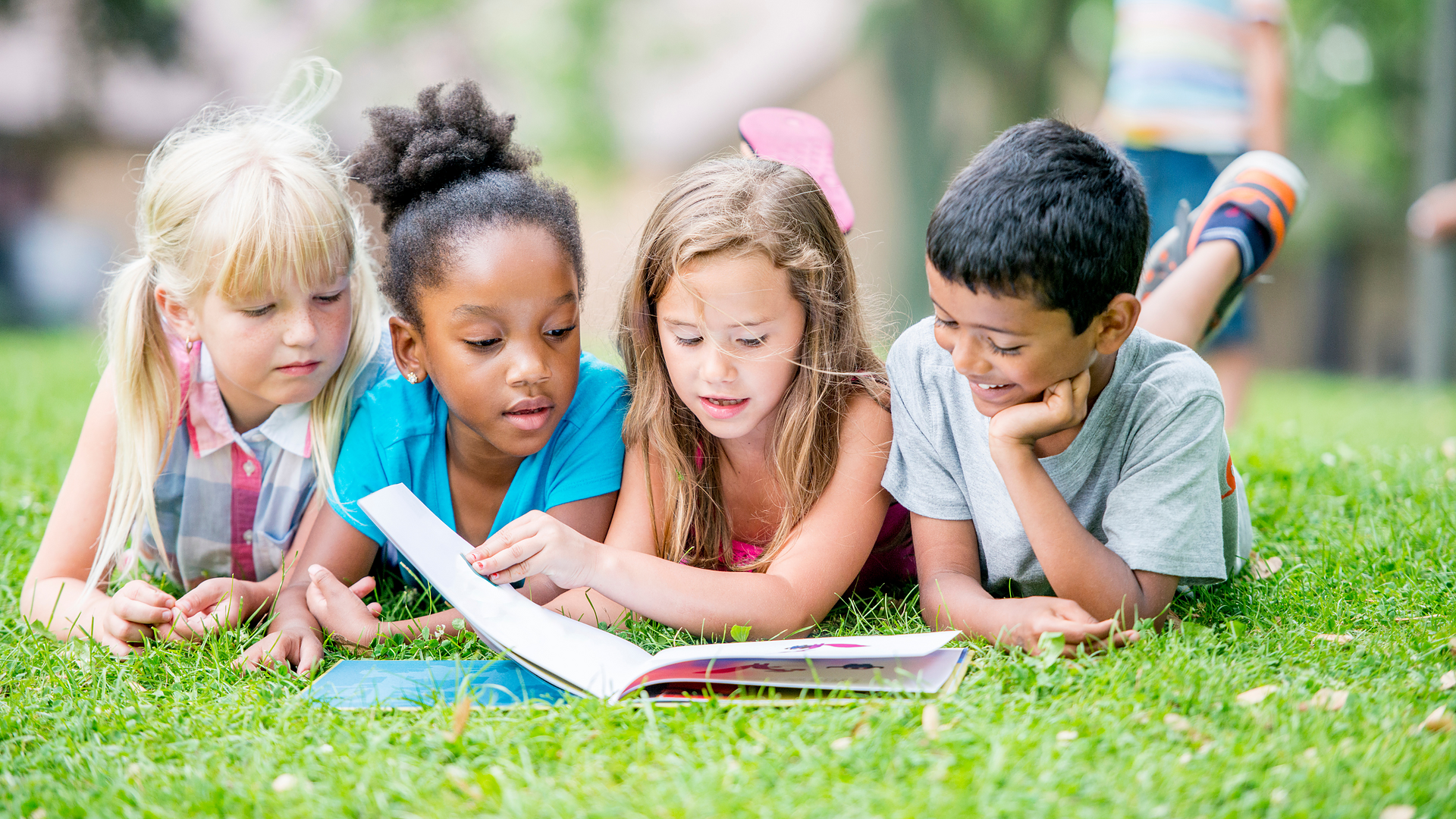 summer reading afplf